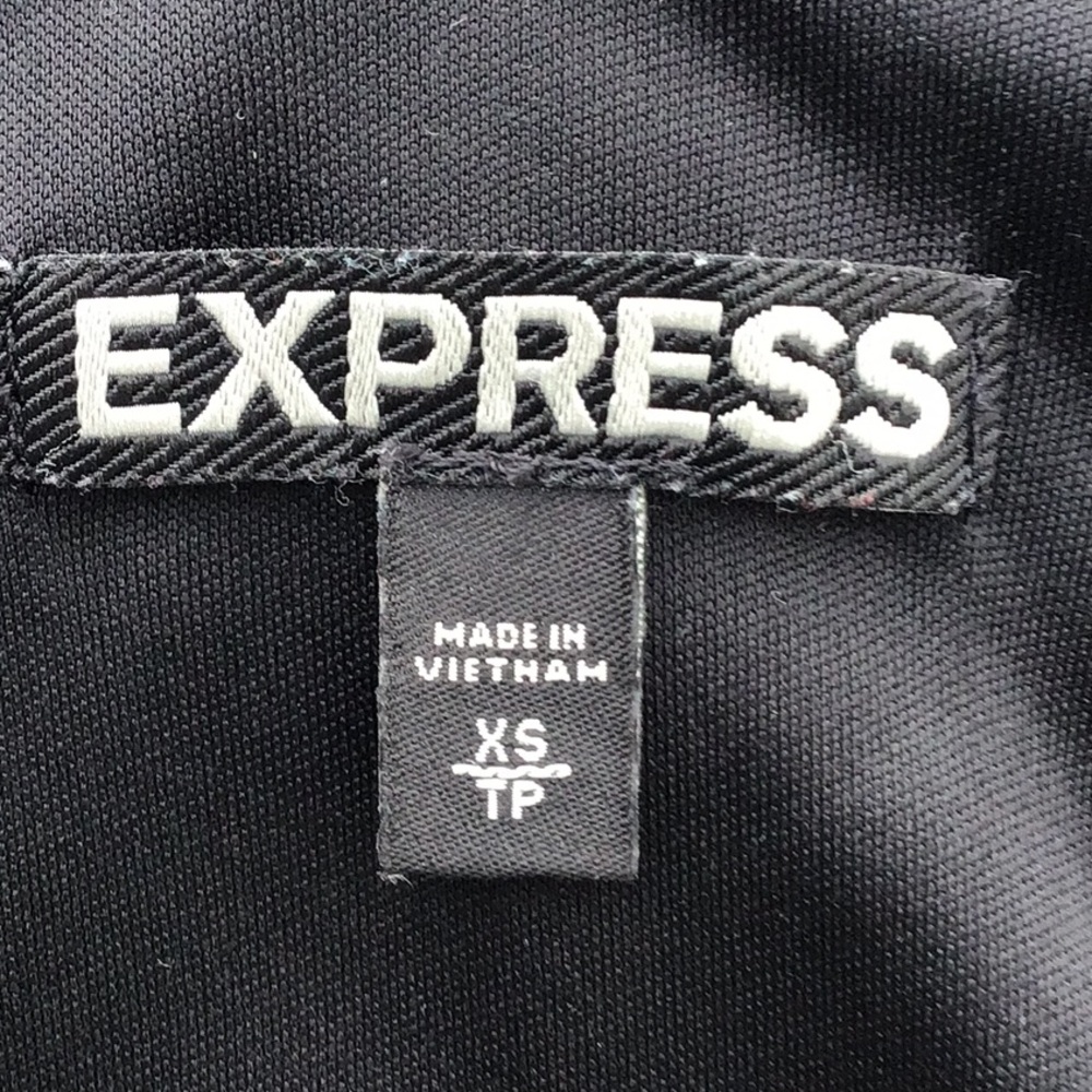 Express Multi Color Zebra Print Dress - image 8